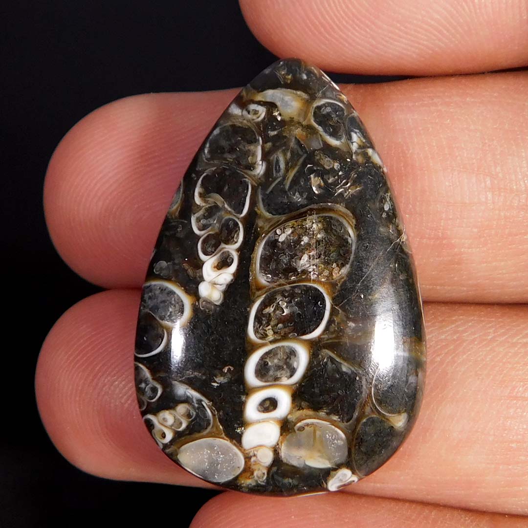 Natural Incredible Turritella Fossil Pear Cabochon Healing Gemstone 34.15Cts. - Picture 1 of 3